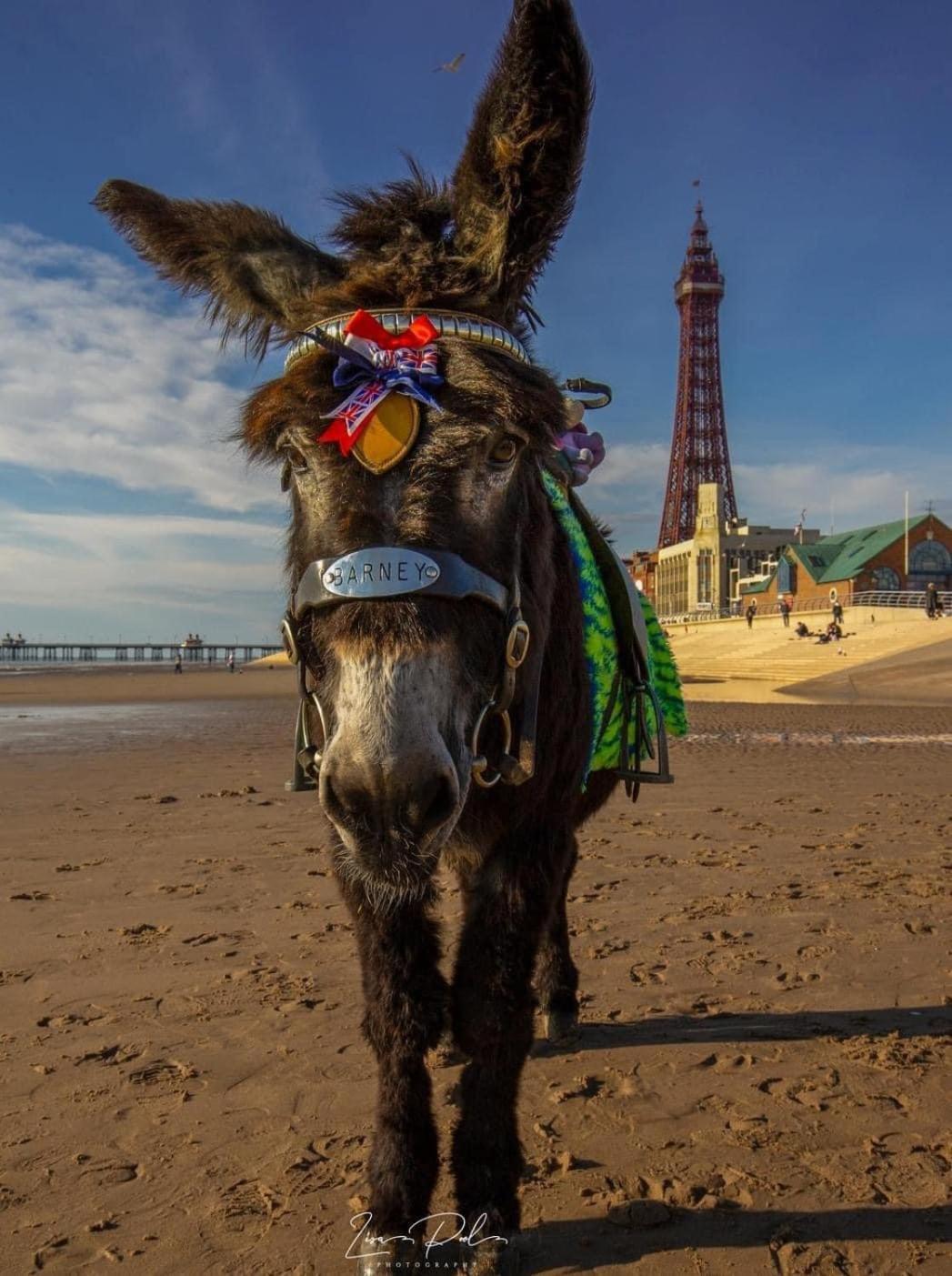 The Bailey Hotel Blackpool (Adults Only) מראה חיצוני תמונה